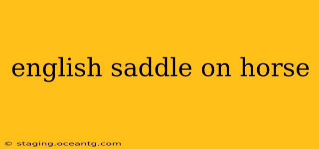 english saddle on horse