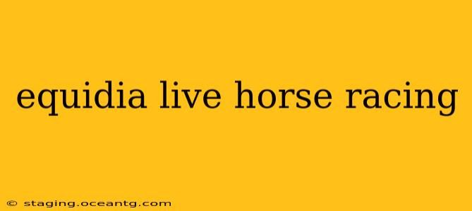 equidia live horse racing