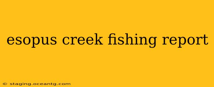 esopus creek fishing report