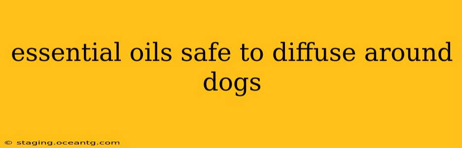 essential oils safe to diffuse around dogs