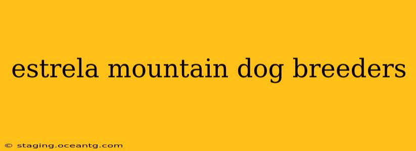 estrela mountain dog breeders