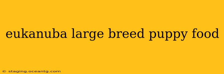 eukanuba large breed puppy food
