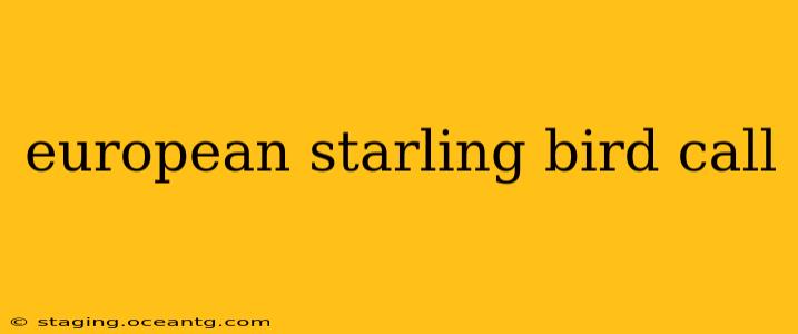 european starling bird call