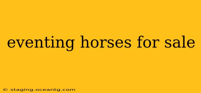 eventing horses for sale