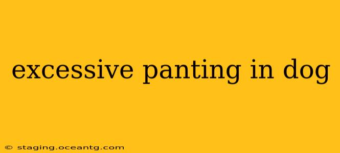 excessive panting in dog