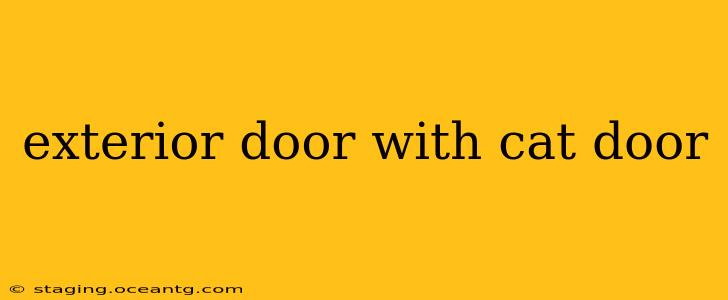 exterior door with cat door