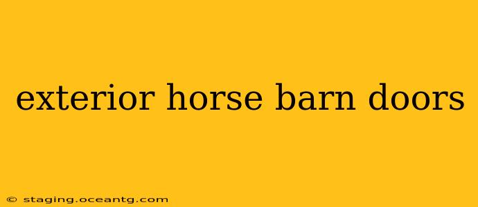 exterior horse barn doors