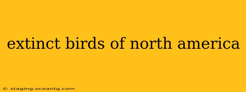 extinct birds of north america