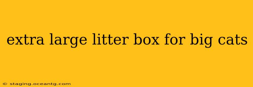 extra large litter box for big cats