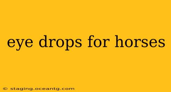 eye drops for horses