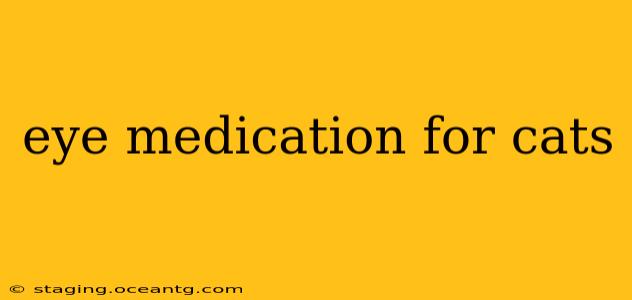 eye medication for cats