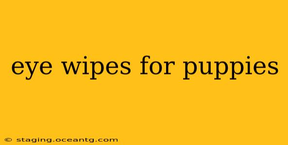 eye wipes for puppies