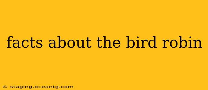 facts about the bird robin