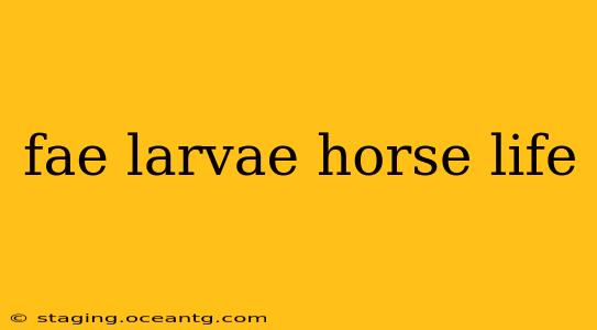 fae larvae horse life