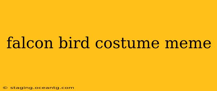 falcon bird costume meme