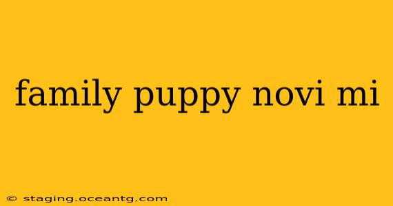 family puppy novi mi