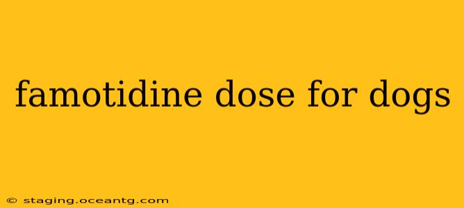 famotidine dose for dogs