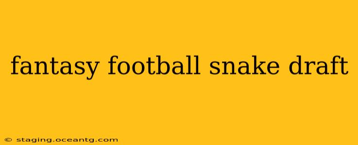 fantasy football snake draft