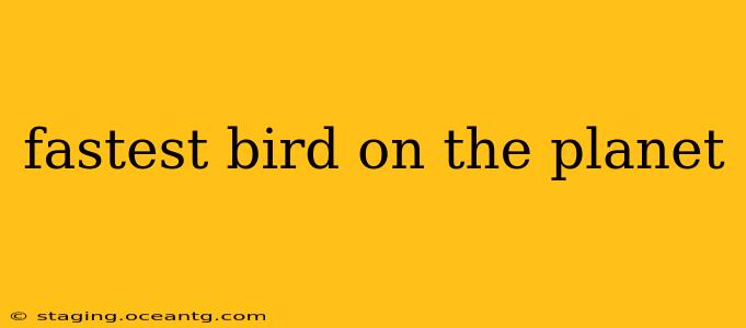 fastest bird on the planet