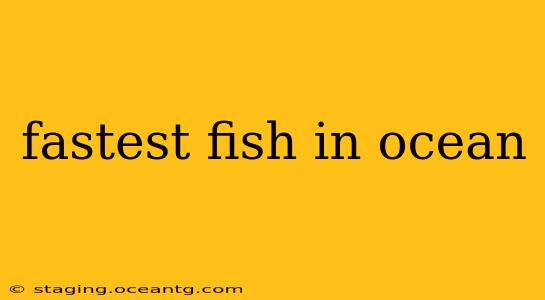 fastest fish in ocean