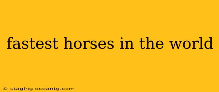 fastest horses in the world