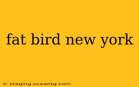fat bird new york