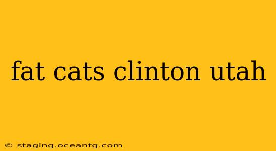 fat cats clinton utah