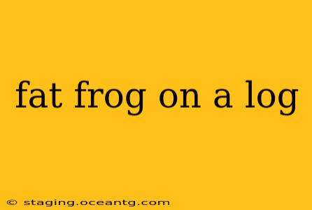 fat frog on a log