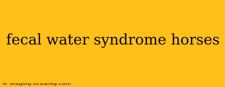 fecal water syndrome horses