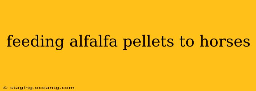 feeding alfalfa pellets to horses