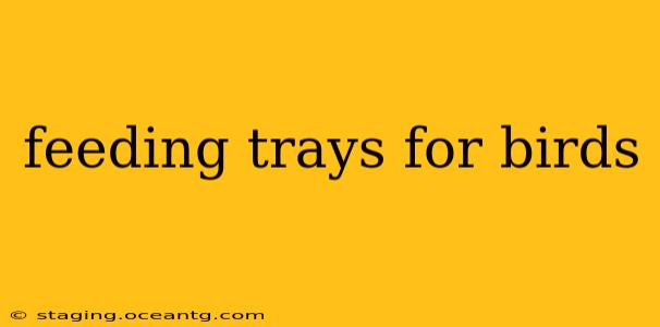 feeding trays for birds
