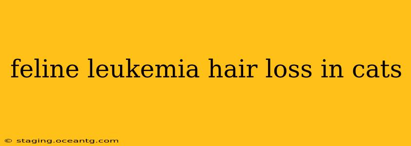feline leukemia hair loss in cats