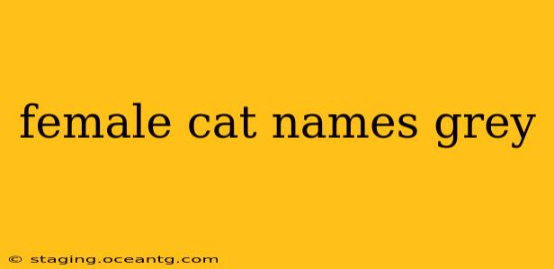 female cat names grey