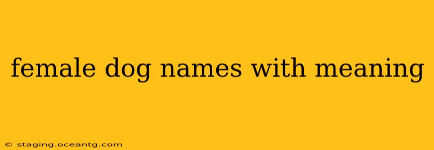 female dog names with meaning