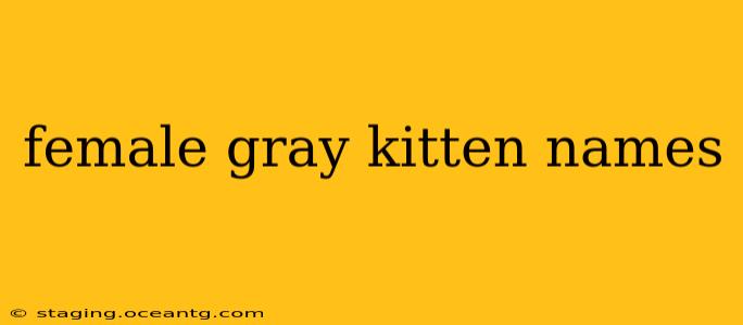 female gray kitten names
