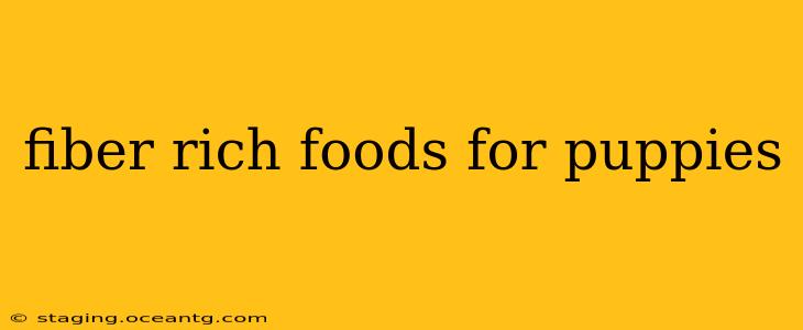fiber rich foods for puppies