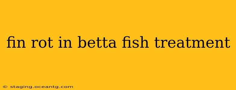 fin rot in betta fish treatment