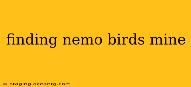 finding nemo birds mine