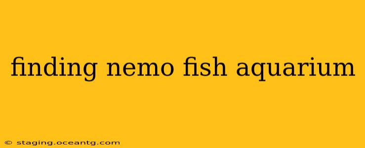 finding nemo fish aquarium
