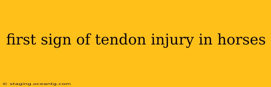 first sign of tendon injury in horses