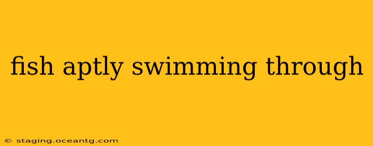 fish aptly swimming through