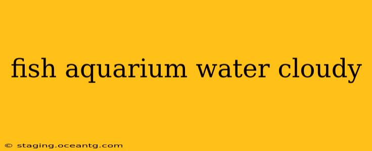 fish aquarium water cloudy