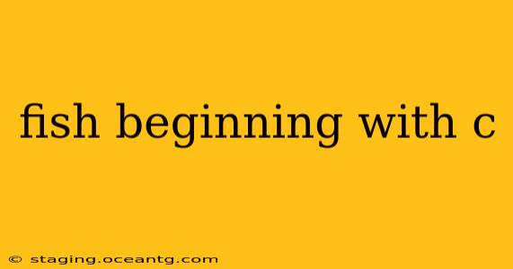fish beginning with c