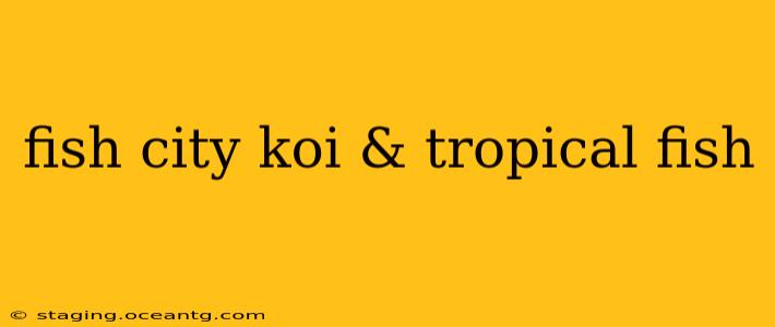 fish city koi & tropical fish