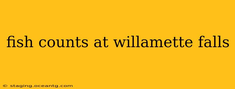 fish counts at willamette falls