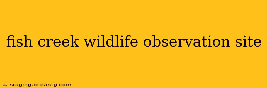 fish creek wildlife observation site