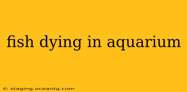 fish dying in aquarium