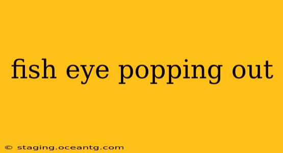 fish eye popping out