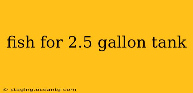 fish for 2.5 gallon tank