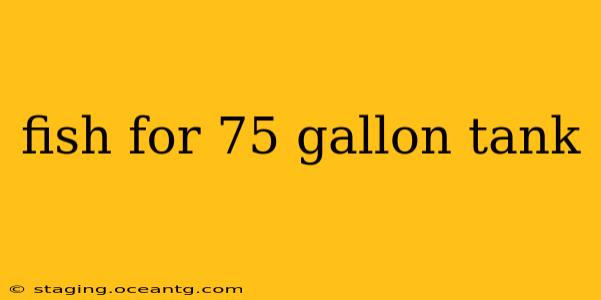 fish for 75 gallon tank